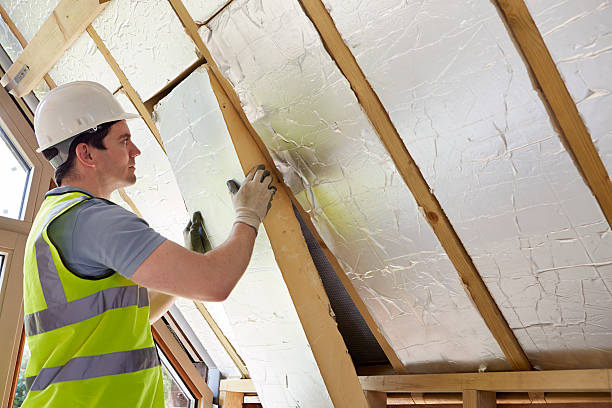 Best Insulation Maintenance and Repair in Newport, KY